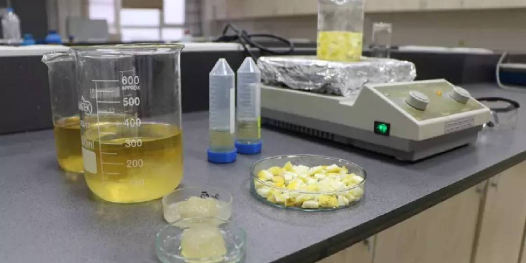 Doğal atıktan süper emici malzeme: Ağaç kavunu kabukları hidrojele dönüştü 1